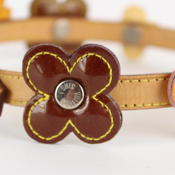 Louis Vuitton Multicolor Vernis Fleur x Vachetta - Picture 11 of 12